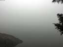 ./images/koeye/fitz-hugh/20200918/fitz-hugh20200918_092002.jpg