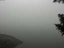 ./images/koeye/fitz-hugh/20200918/fitz-hugh20200918_092502.jpg