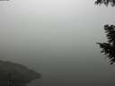 ./images/koeye/fitz-hugh/20200918/fitz-hugh20200918_093502.jpg