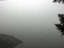 ./images/koeye/fitz-hugh/20200918/fitz-hugh20200918_094001.jpg