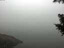./images/koeye/fitz-hugh/20200918/fitz-hugh20200918_094501.jpg