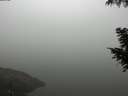 ./images/koeye/fitz-hugh/20200918/fitz-hugh20200918_095001.jpg