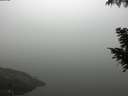 ./images/koeye/fitz-hugh/20200918/fitz-hugh20200918_095501.jpg