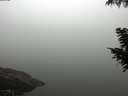 ./images/koeye/fitz-hugh/20200918/fitz-hugh20200918_100001.jpg