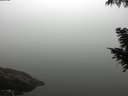 ./images/koeye/fitz-hugh/20200918/fitz-hugh20200918_100501.jpg