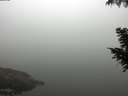 ./images/koeye/fitz-hugh/20200918/fitz-hugh20200918_101501.jpg