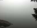 ./images/koeye/fitz-hugh/20200918/fitz-hugh20200918_102001.jpg