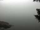 ./images/koeye/fitz-hugh/20200918/fitz-hugh20200918_102501.jpg
