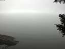 ./images/koeye/fitz-hugh/20200918/fitz-hugh20200918_103501.jpg
