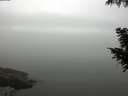 ./images/koeye/fitz-hugh/20200918/fitz-hugh20200918_104001.jpg