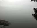 ./images/koeye/fitz-hugh/20200918/fitz-hugh20200918_104501.jpg