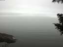 ./images/koeye/fitz-hugh/20200918/fitz-hugh20200918_105001.jpg
