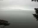 ./images/koeye/fitz-hugh/20200918/fitz-hugh20200918_105501.jpg