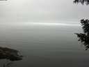 ./images/koeye/fitz-hugh/20200918/fitz-hugh20200918_110501.jpg