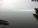 ./images/koeye/fitz-hugh/20200918/fitz-hugh20200918_111001.jpg