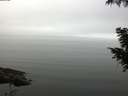 ./images/koeye/fitz-hugh/20200918/fitz-hugh20200918_111501.jpg