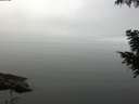./images/koeye/fitz-hugh/20200918/fitz-hugh20200918_112001.jpg