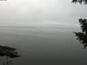 ./images/koeye/fitz-hugh/20200918/fitz-hugh20200918_112501.jpg