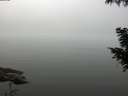 ./images/koeye/fitz-hugh/20200918/fitz-hugh20200918_113502.jpg