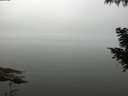./images/koeye/fitz-hugh/20200918/fitz-hugh20200918_114002.jpg