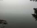 ./images/koeye/fitz-hugh/20200918/fitz-hugh20200918_114502.jpg
