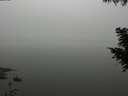 ./images/koeye/fitz-hugh/20200918/fitz-hugh20200918_120502.jpg