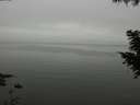 ./images/koeye/fitz-hugh/20200918/fitz-hugh20200918_121502.jpg