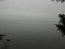 ./images/koeye/fitz-hugh/20200918/fitz-hugh20200918_122002.jpg