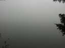 ./images/koeye/fitz-hugh/20200918/fitz-hugh20200918_124501.jpg