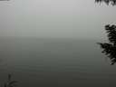 ./images/koeye/fitz-hugh/20200918/fitz-hugh20200918_132501.jpg