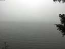 ./images/koeye/fitz-hugh/20200918/fitz-hugh20200918_133501.jpg