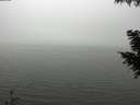 ./images/koeye/fitz-hugh/20200918/fitz-hugh20200918_134001.jpg
