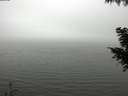 ./images/koeye/fitz-hugh/20200918/fitz-hugh20200918_134501.jpg