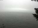 ./images/koeye/fitz-hugh/20200918/fitz-hugh20200918_135001.jpg