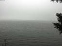 ./images/koeye/fitz-hugh/20200918/fitz-hugh20200918_135501.jpg
