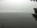 ./images/koeye/fitz-hugh/20200918/fitz-hugh20200918_140002.jpg