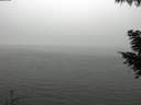 ./images/koeye/fitz-hugh/20200918/fitz-hugh20200918_140501.jpg