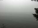 ./images/koeye/fitz-hugh/20200918/fitz-hugh20200918_141001.jpg
