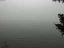 ./images/koeye/fitz-hugh/20200918/fitz-hugh20200918_141501.jpg