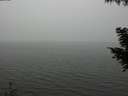 ./images/koeye/fitz-hugh/20200918/fitz-hugh20200918_142501.jpg