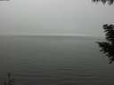 ./images/koeye/fitz-hugh/20200918/fitz-hugh20200918_143501.jpg