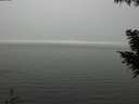./images/koeye/fitz-hugh/20200918/fitz-hugh20200918_144002.jpg