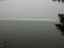 ./images/koeye/fitz-hugh/20200918/fitz-hugh20200918_144502.jpg