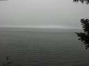./images/koeye/fitz-hugh/20200918/fitz-hugh20200918_145002.jpg