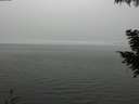 ./images/koeye/fitz-hugh/20200918/fitz-hugh20200918_145502.jpg