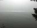 ./images/koeye/fitz-hugh/20200918/fitz-hugh20200918_151002.jpg
