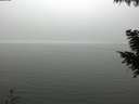 ./images/koeye/fitz-hugh/20200918/fitz-hugh20200918_151502.jpg