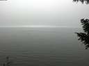 ./images/koeye/fitz-hugh/20200918/fitz-hugh20200918_152002.jpg