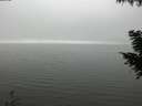 ./images/koeye/fitz-hugh/20200918/fitz-hugh20200918_152502.jpg