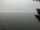 ./images/koeye/fitz-hugh/20200918/fitz-hugh20200918_153502.jpg